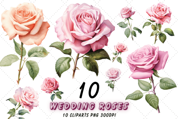 Watercolor Roses for Elegant Wedding and Botanical Designs